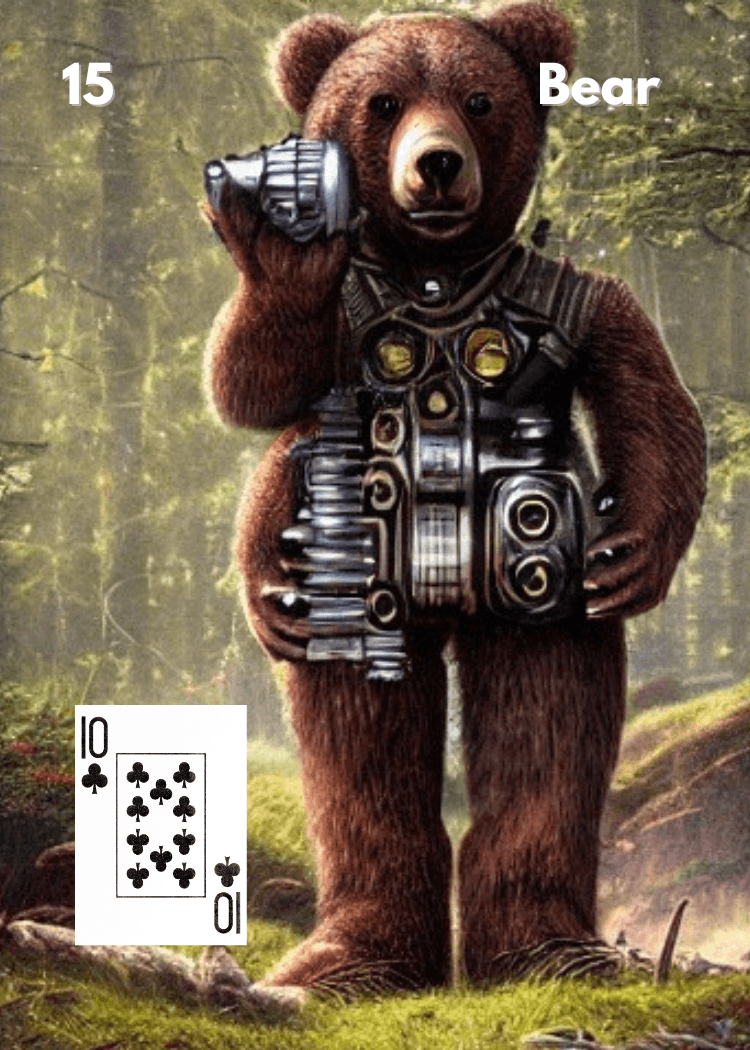 The Bear
