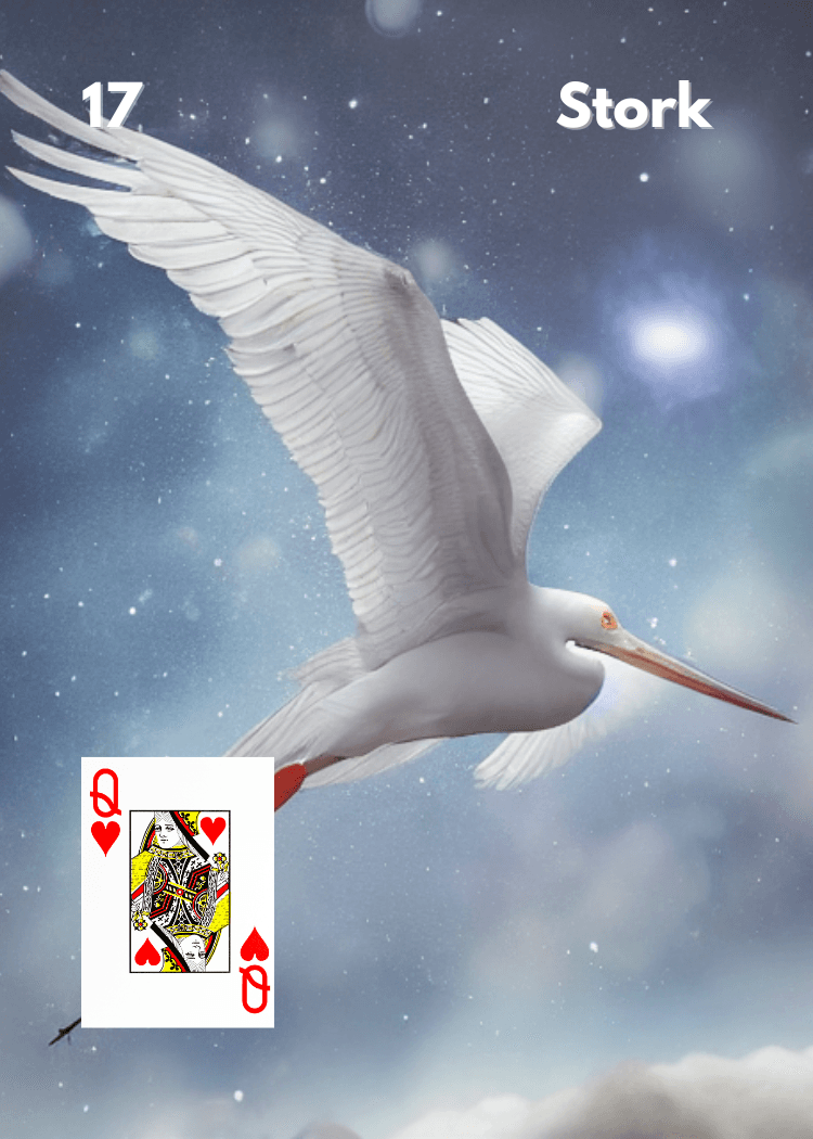 The Stork